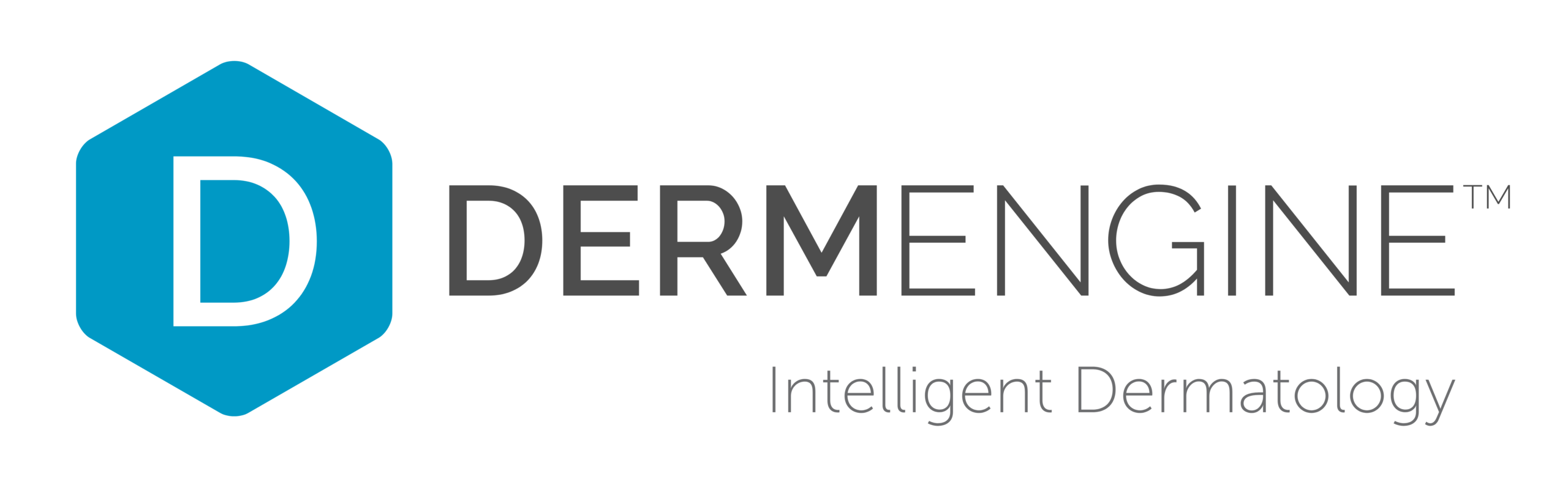 intelligent dermatology dermengine logo horizontal